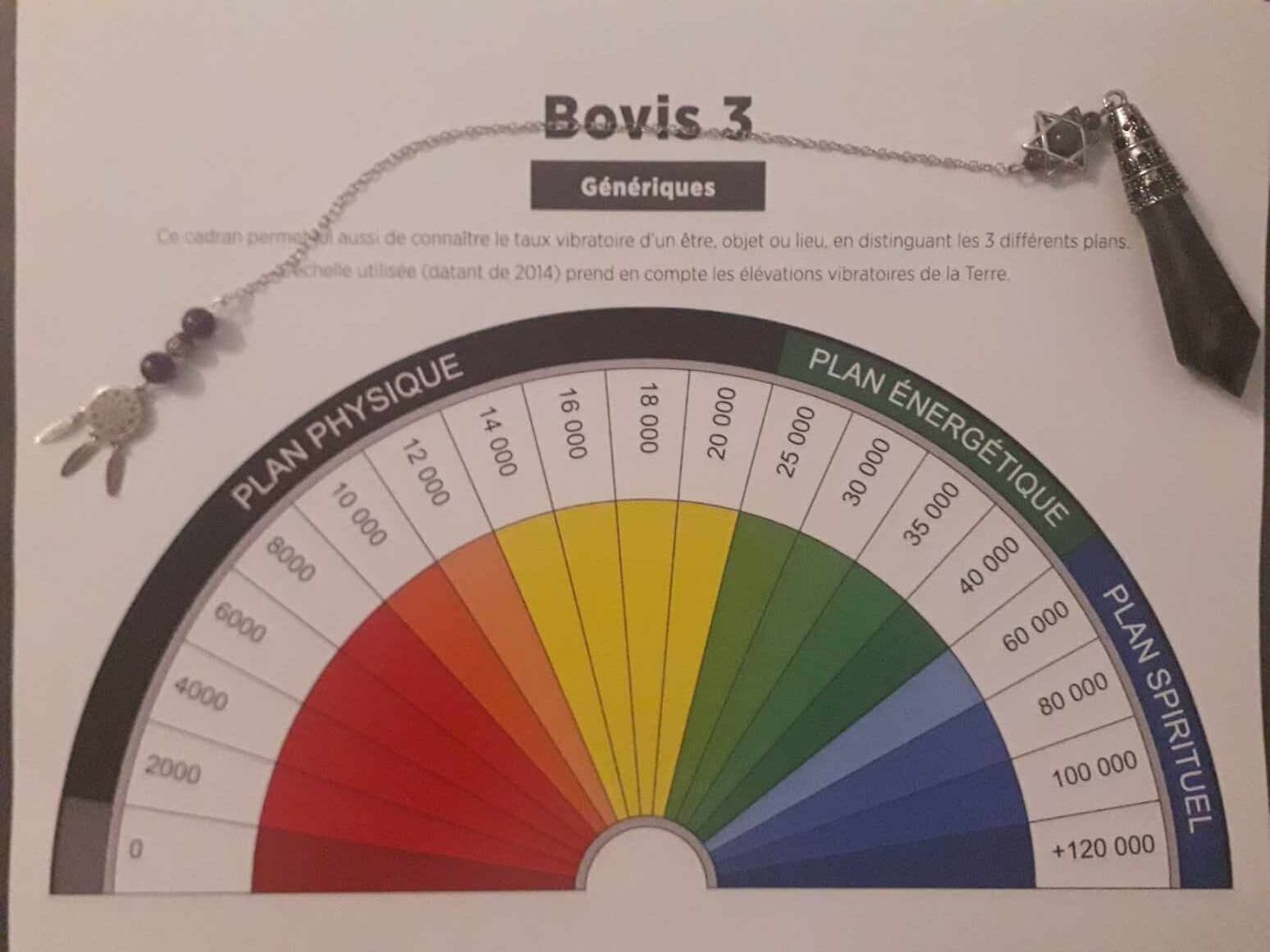 Rééquilibrage du Taux Vibratoire et des Chakras au pendule
